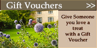 Gift Vouchers